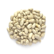 GREAT NORTHERN BEANS 25KG (CANNELINI BEANS)