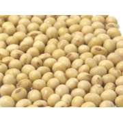 SOYA BEANS 25KG