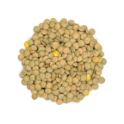 LENTILS GREEN WHOLE 25KG