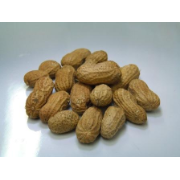 PEANUT ROAST IN SHELL 20KG