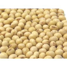  SOYA BEANS 25KG