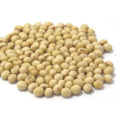  SOYA BEANS            5KG .