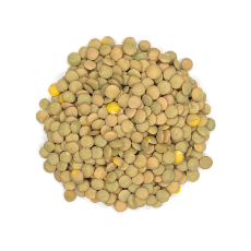  LENTILS GREEN WHOLE 25KG