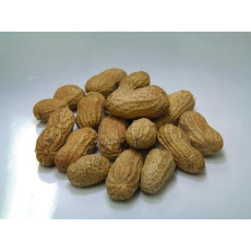  PEANUT ROAST IN SHELL 20KG