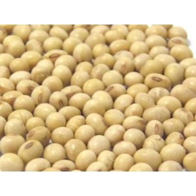 SOYA BEANS 25KG