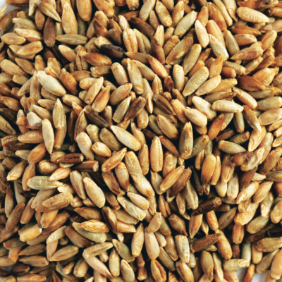 RYE GRAIN ORGANIC  20KG KIALLA BRAND