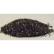 QUINOA BLACK ORGANIC 11.34KG