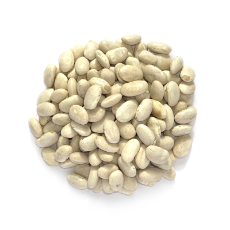  GREAT NORTHERN BEANS 25KG (CANNELINI BEANS)