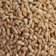 BARLEY PEARL ORGANIC 20KG