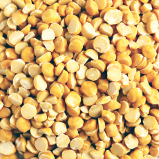  CHANA DAHL ORGANIC 20KG (SPLIT CHICK PEAS)