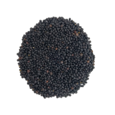 LENTILS BLACK BULUGA ORG. 25KG