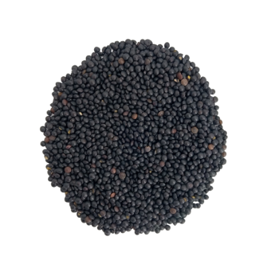 LENTILS BLACK BULUGA ORG. 25KG