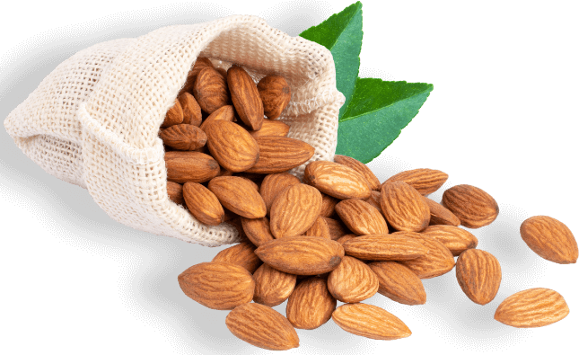 Trumps nuts and dried fruit